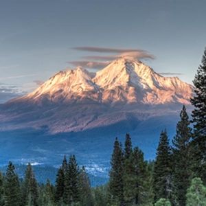 Meet your Posher, Yuxiao